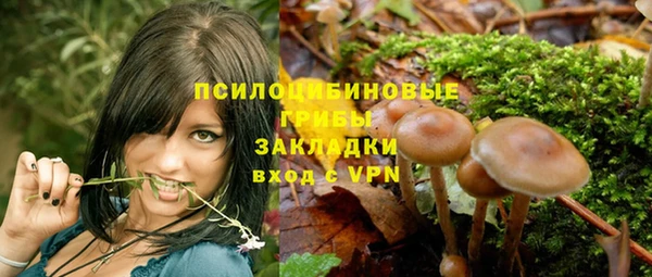 соль ск Горняк
