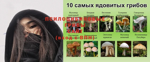 каннабис Горнозаводск