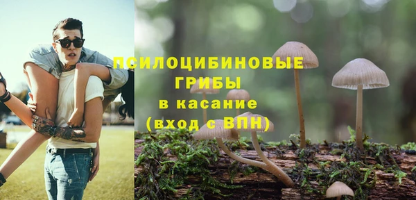 спиды Горно-Алтайск