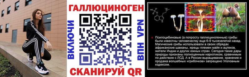 Купить где  Черняховск  Псилоцибиновые грибы мицелий 